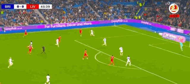 1730320930824089157.gif 0-1哈克波.gif